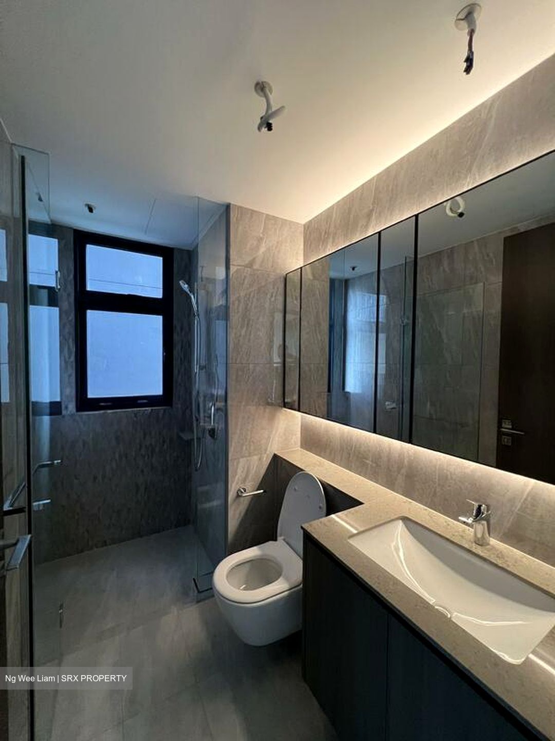 Piccadilly Grand (D8), Apartment #503929881